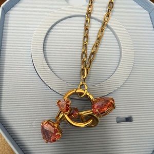 Swarovski necklace with earbud jewelry.